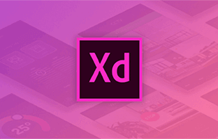 آموزش AdobeXD